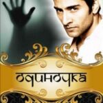 Одиночка (2006)