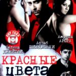 Красные цвета любви (2007)